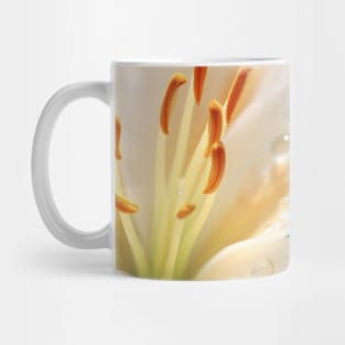 Lilium Flower Petal Nature Serene Calm Mug